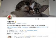 【EV扑克】人间蒸发两个月、七瀬アリス(七濑爱丽丝)有了动静!-博狗扑克 蜗牛扑克 德州扑克跟我学