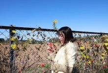 【EV扑克】田中レモン(田中柠檬)终于发文!前事务所看了会7PUPU?-博狗扑克 蜗牛扑克 德州扑克跟我学