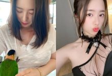 鸚鵡都忍不住討奶吃!南韓「巨乳正妹」BITNARA餐廳逗鳥,飽滿上圍慘遭攻擊!-博狗扑克 蜗牛扑克 德州扑克跟我学