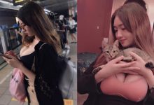 台北捷運驚見「爆乳通勤族」　巨乳工程師上班路程總是起起伏伏-博狗扑克 蜗牛扑克 德州扑克跟我学