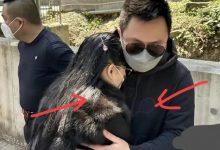 【EV扑克】蔡天凤老公和岳母多张亲密合照流出，手放胸口亲吻，相处无边界感-博狗扑克 蜗牛扑克 德州扑克跟我学