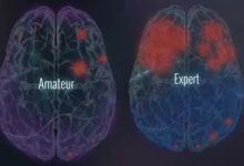 【EV扑克】话题 | 玩扑克的3大心理益处-博狗扑克 蜗牛扑克 德州扑克跟我学