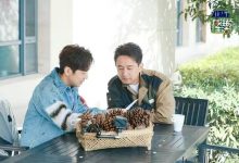 《向往的生活7》开播引热议！何炅自曝已老花眼，陈赫落泪惨遭骂-博狗扑克 蜗牛扑克 德州扑克跟我学