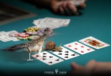 【EV扑克】策略教学:翻牌圈击中强牌后,最正确的游戏方式是什么?-博狗扑克 蜗牛扑克 德州扑克跟我学