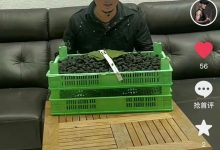 星光大道冠军阿宝退圈认不出,推销桑葚接地气,消瘦明显家中简朴-博狗扑克 蜗牛扑克 德州扑克跟我学