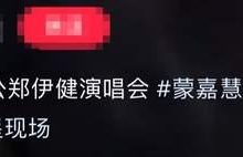 蒙嘉慧现身老公演唱会,素颜出镜发福明显,用日语与大家交流遭骂-博狗扑克 蜗牛扑克 德州扑克跟我学