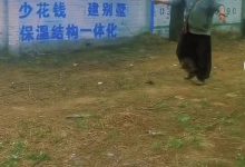 50岁戏骨谢宁近1年无戏拍,回河北农村放羊种菜,胡须花白精神足-博狗扑克 蜗牛扑克 德州扑克跟我学