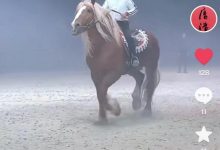 唐国强骑马庆71岁生日，挺大肚腩笑开花，动作惊险数十位保镖护航-博狗扑克 蜗牛扑克 德州扑克跟我学