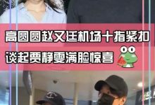 高圆圆赵又廷频秀恩爱，两手紧握亲密说悄悄话，破开放式婚姻传闻-博狗扑克 蜗牛扑克 德州扑克跟我学