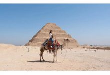 央视主持刘芳菲远赴埃及，穿几十元旧鞋追忆过往，五官仍精致动人-博狗扑克 蜗牛扑克 德州扑克跟我学