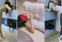 正妹「翹高美臀」專心射擊！轉過身來「高聳軟墊」讓狗狗踐踏！網友也想射一發…-博狗扑克 蜗牛扑克 德州扑克跟我学