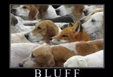 【EV扑克】教学：如何判断一个牌面是否适合用来诈唬-博狗扑克 蜗牛扑克 德州扑克跟我学