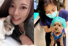 全台最正獸醫師「魏立寧」，笑容親切甜美糖度超高，網友瘋狂羨慕貓狗：想當禽獸！-博狗扑克 蜗牛扑克 德州扑克跟我学