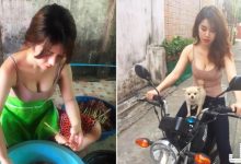 網傳「爆乳女騎士」低胸露球好犯規!這姿勢和亮點令人無法招架啊..-博狗扑克 蜗牛扑克 德州扑克跟我学