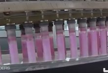 我們帶你去全世界最大的保險套工廠晃一晃-博狗扑克 蜗牛扑克 德州扑克跟我学