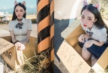 路邊野貓「飄哥」未結紮求收養，「媚眼狂電」粉絲秒抱走！-博狗扑克 蜗牛扑克 德州扑克跟我学