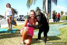 性愛時『揉胸』才有益身體健康?-博狗扑克 蜗牛扑克 德州扑克跟我学