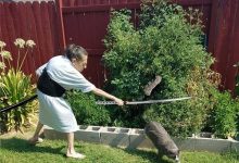 日本老媽為護番茄趕貓　戰鬥力太強又被網友瘋狂PS無極限-博狗扑克 蜗牛扑克 德州扑克跟我学