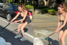 中和「巨乳長腿妹」遛狗卡斑馬線上　使出吃奶的力氣也拉不動-博狗扑克 蜗牛扑克 德州扑克跟我学