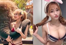 連大象也抵擋不了「Donna奶妹」的魅力　緊緊纏繞蜂腰身材-博狗扑克 蜗牛扑克 德州扑克跟我学