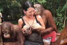 「性感姐姐」身材太好被伸手偷襲　一手無法掌握的大小太猖狂！-博狗扑克 蜗牛扑克 德州扑克跟我学