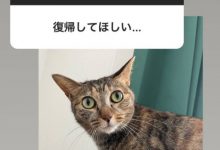 这就是松下问童子删帐号的原因?让退而不休的女优最困扰的是⋯-博狗扑克 蜗牛扑克 德州扑克跟我学