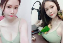超兇猛32G巨乳正妹「乃米」,豐滿雙球變成小鳥爬架,網友開始羨慕鳥啦!-博狗扑克 蜗牛扑克 德州扑克跟我学