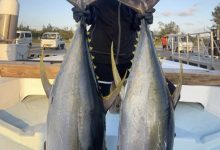 不只会剑玉！涼森れむ(凉森玲梦)还是天才小钓手！-博狗扑克 蜗牛扑克 德州扑克跟我学