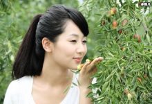 【EV扑克】杨紫商业销量堪忧代言三天卖了不到四百份，粉丝解释让人迷惑-博狗扑克 蜗牛扑克 德州扑克跟我学