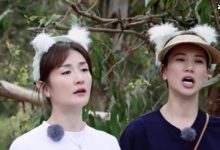 【EV扑克】老戏骨被迫改行卖肉？众明星到场支持袁咏仪一个星期跑两趟-博狗扑克 蜗牛扑克 德州扑克跟我学