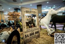 【EV扑克】中国军团雄起 廉想、赵刚等13人闯入Merit Poker主赛Day3-博狗扑克 蜗牛扑克 德州扑克跟我学