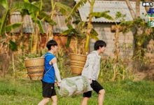 【EV扑克】他是《向往》最懒嘉宾?原来睡觉也是体贴的一种表现-博狗扑克 蜗牛扑克 德州扑克跟我学