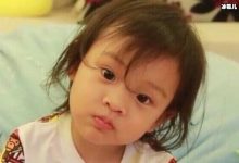 【EV扑克】甜馨生日会只有李小璐贾乃亮未出席,网友表示心疼甜馨-博狗扑克 蜗牛扑克 德州扑克跟我学