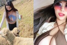 叫波波還真的有大波波!清境農場驚見妹子爆乳餵羊-博狗扑克 蜗牛扑克 德州扑克跟我学