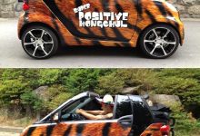 藝人車款第二彈之性感女神李孝利開什麼車？-博狗扑克 蜗牛扑克 德州扑克跟我学