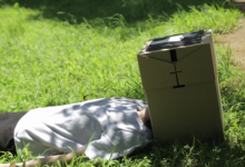 日本最蠢發明又一彈，無用卻讓數百人掏錢賣單-博狗扑克 蜗牛扑克 德州扑克跟我学