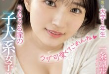 一条凛花出道作品MIFD-477发布!超甜的犬系女子!下半身毛茸茸的她会是最强刺客?-博狗扑克 蜗牛扑克 德州扑克跟我学