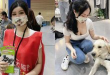 導盲犬協會義工Mavis是「台越混血正妹」　人美心善還有火辣身材-博狗扑克 蜗牛扑克 德州扑克跟我学