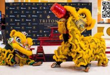 【EV扑克】众星齐聚Triton济州站 中国军团多人强势晋级15K 8MAX赛-博狗扑克 蜗牛扑克 德州扑克跟我学