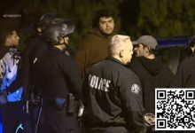 【EV扑克】“赌徒”Mikki被警方逮捕询问,这什么情况?-博狗扑克 蜗牛扑克 德州扑克跟我学