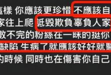 【EV扑克】关颖家庭背景资料被扒, 关颖老公是谁有几个孩子-博狗扑克 蜗牛扑克 德州扑克跟我学