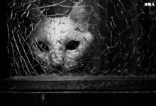 【EV扑克】窥探大结局什么意思?窥探韩剧男主是好人吗?-博狗扑克 蜗牛扑克 德州扑克跟我学