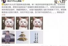 【EV扑克】张柏芝谢霆锋王菲是什么关系? 为什么张柏芝老爱撒谎-博狗扑克 蜗牛扑克 德州扑克跟我学