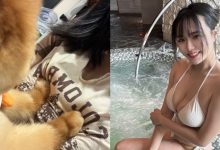 放尊重一點!巨乳寵物美容被顧客襲胸 毫不客氣直接壓扁-博狗扑克 蜗牛扑克 德州扑克跟我学