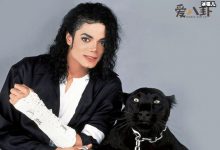 【EV扑克】《speechless》歌词翻译, 迈克尔杰克逊经典情歌-博狗扑克 蜗牛扑克 德州扑克跟我学