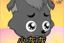 【EV扑克】迷路的小灰灰是什么梗/ 迷路2年的小狼崽还没找到家-博狗扑克 蜗牛扑克 德州扑克跟我学