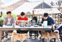 【EV扑克】向往的生活5即将开始录制， 常驻嘉宾还是原班人马吗-博狗扑克 蜗牛扑克 德州扑克跟我学