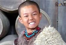 【EV扑克】郝汉个人资料, 功夫童星原来与这么多大牌明星合作过-博狗扑克 蜗牛扑克 德州扑克跟我学