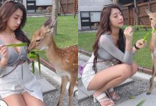 動物農場驚見「爆乳美腿妹」甜餵小鹿斑比，超療癒畫面讓人瘋狂心動！-博狗扑克 蜗牛扑克 德州扑克跟我学