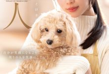 千呼万唤始出来！等了好久的与田りん(与田铃)情报解禁！-博狗扑克 蜗牛扑克 德州扑克跟我学